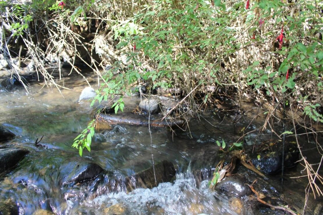 The Penco River in the area that stands to be affected by the project.