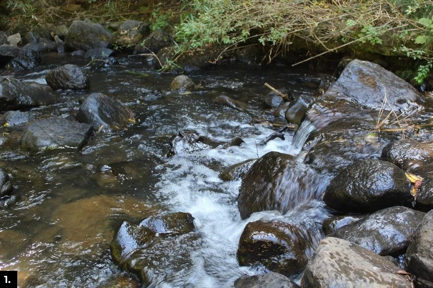 Sector del río donde se estuvo monitoreando macroinvertebrados